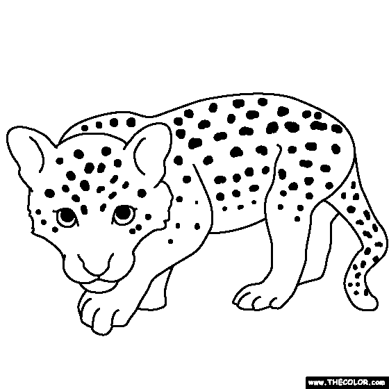 Baby Leopard Coloring Page