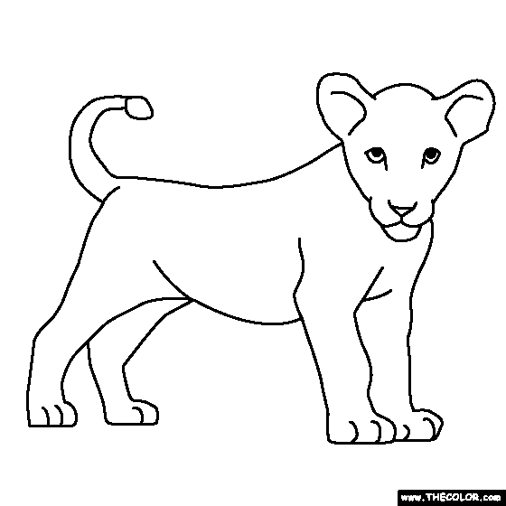 Baby Lion Coloring Page