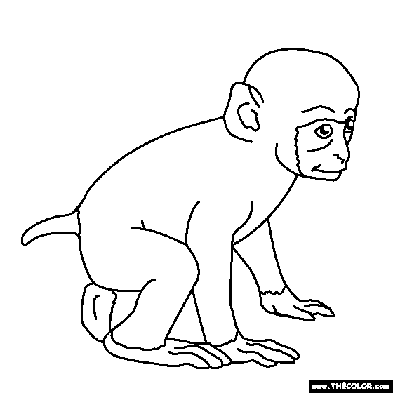Baby Monkey Coloring Page