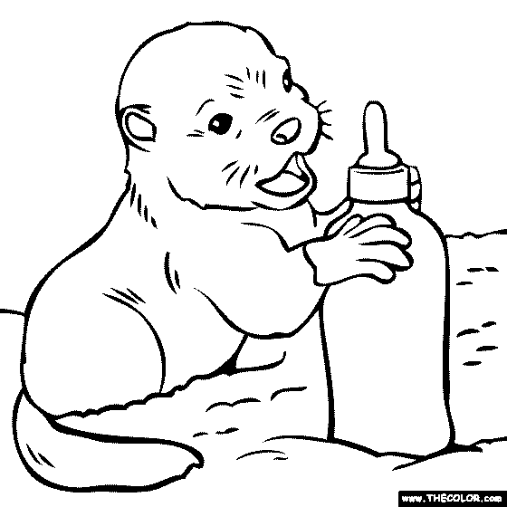 Baby Otter Coloring Page
