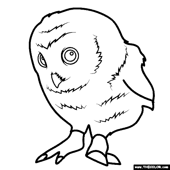 Baby Owl Coloring Page