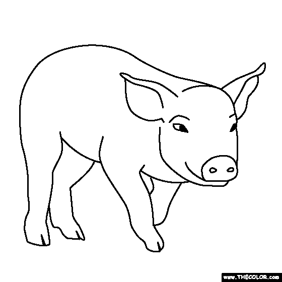 Baby Pig Coloring Page