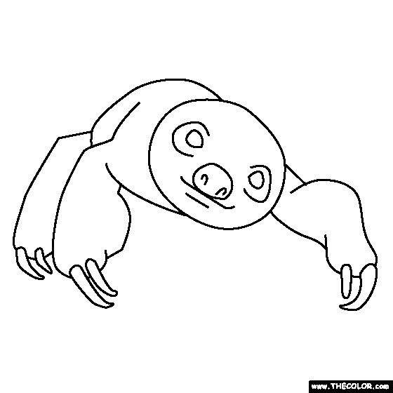 Baby Sloth Coloring Page