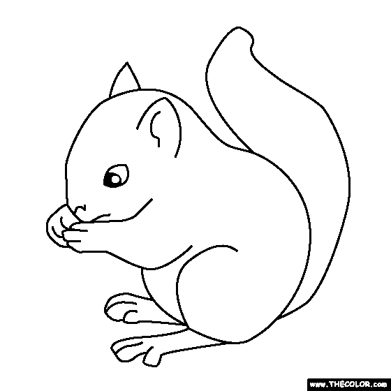 Baby Squirrel Coloring Page