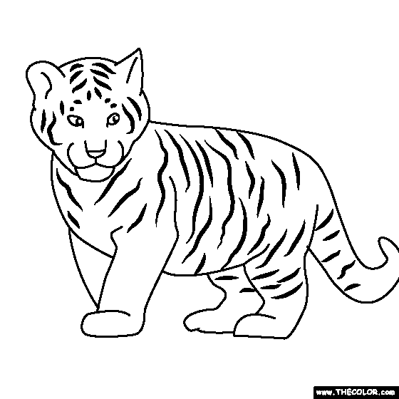 Baby Tiger Coloring Page