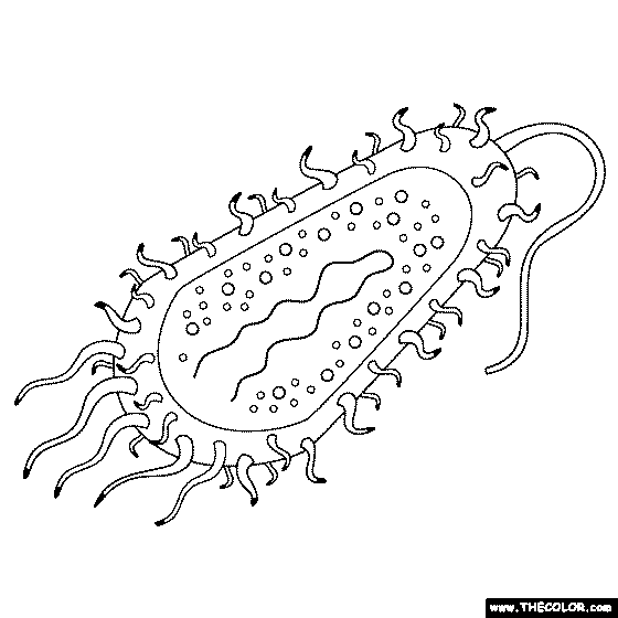 Bacteria Cell Coloring Page