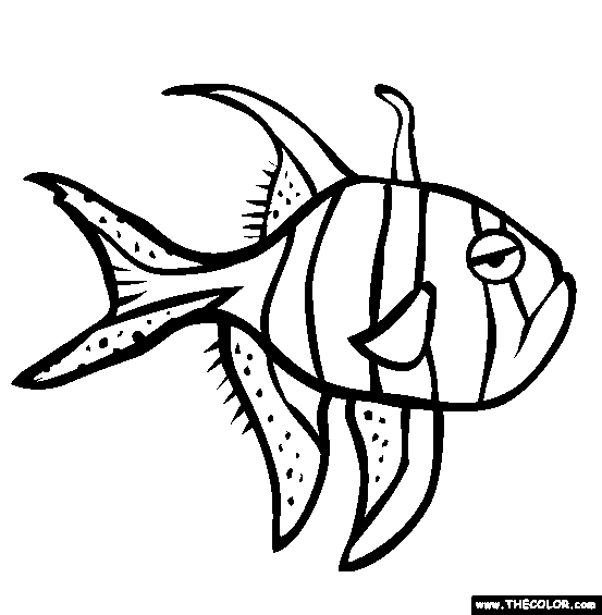 Banggai Cardinalfish Coloring Page