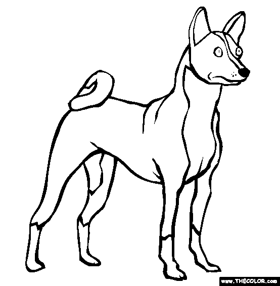 Basenji Coloring Page