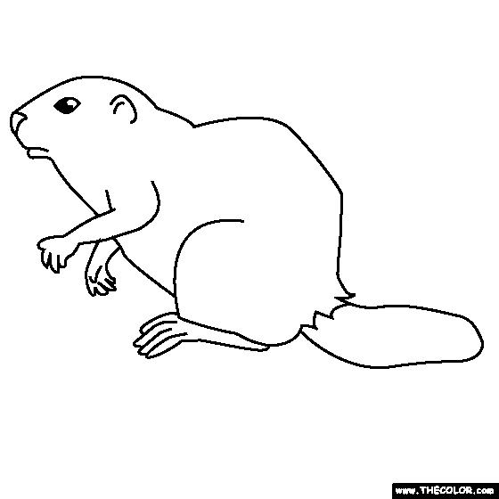 Beaver Coloring Page