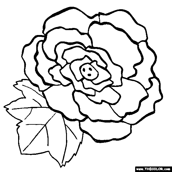 Begonia Flower Online Coloring Page