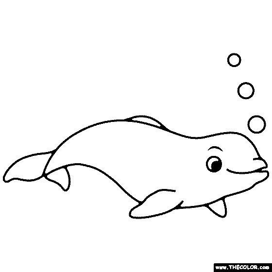 beluga whale coloring page