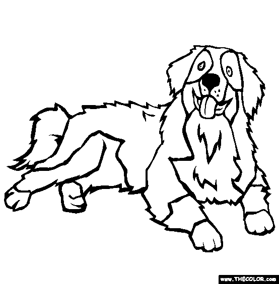 Bernese Mountain Dog Coloring Page