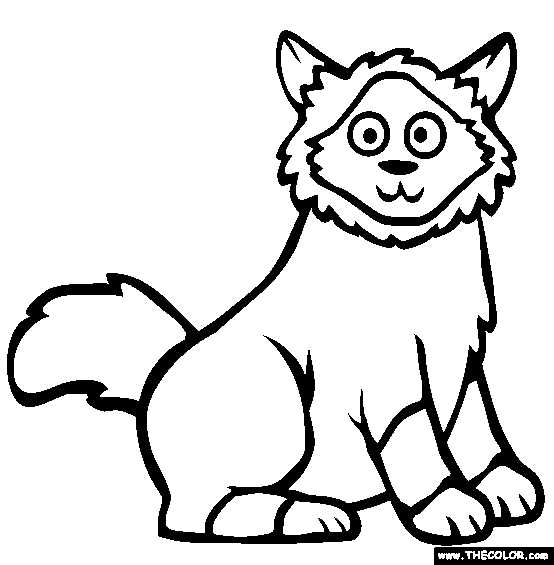 Birman Cat Online Coloring Page