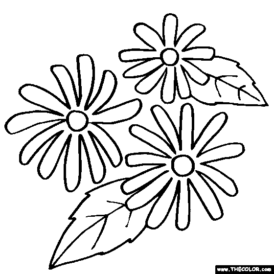 Black Eyed Susan flower online coloring page