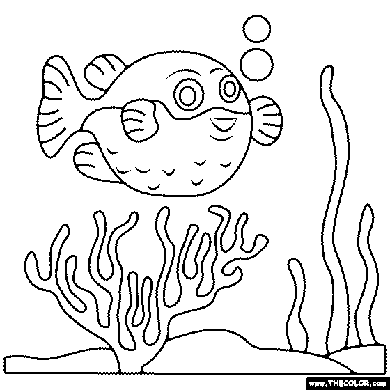 Blowfish Coloring Page