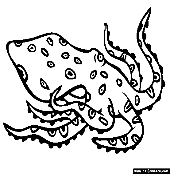 Blue Ringed Octopus Coloring Page