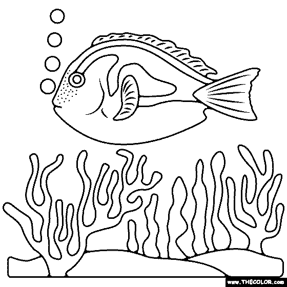 Blue Tang Fish Coloring Page