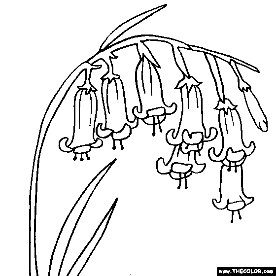 Bluebell flower online coloring page