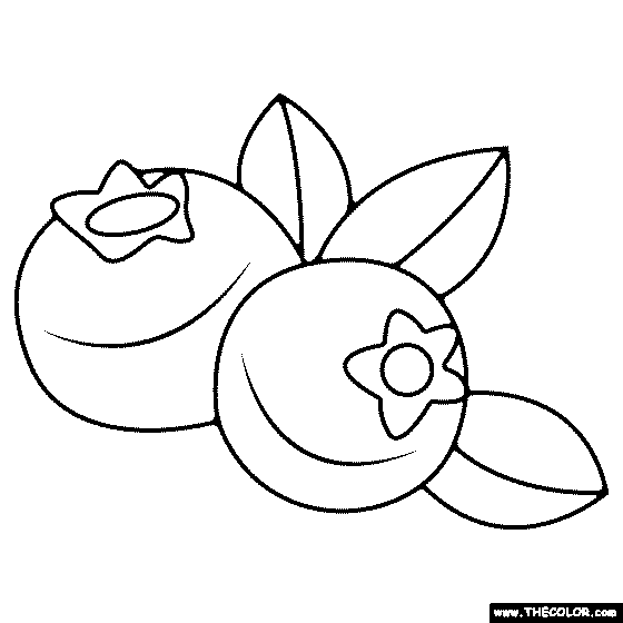 Blueberries Coloring Page