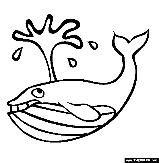 Bluewhale Coloring Page
