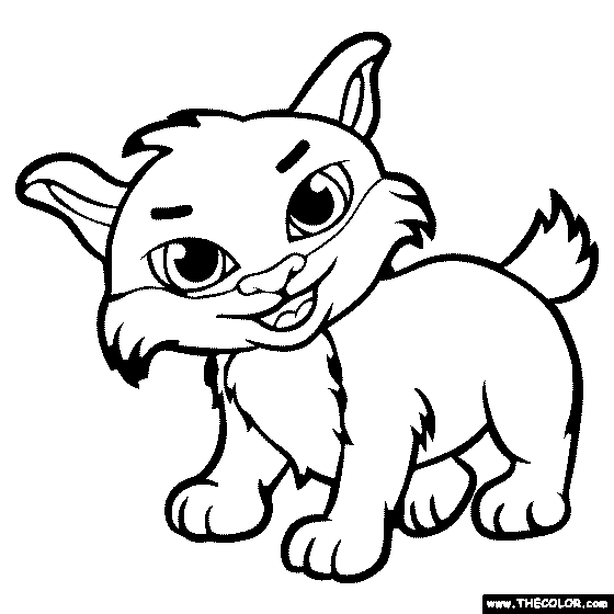 baby bobcat coloring pages