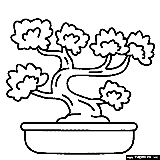 Bonsai Tree Coloring Page