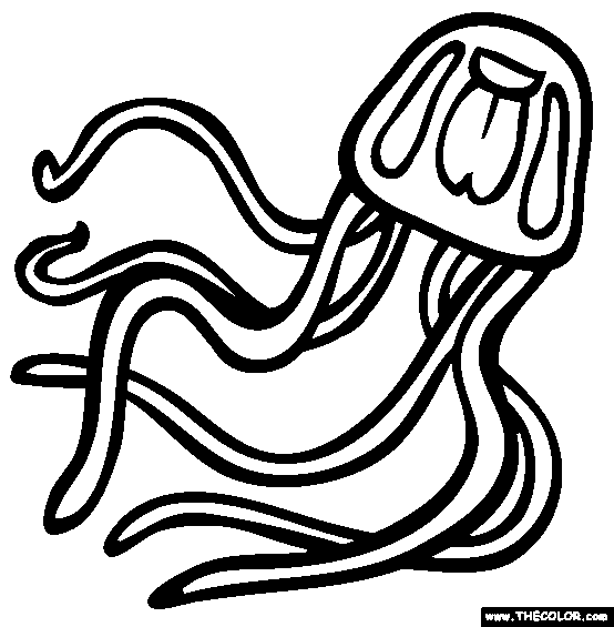 Box Jelly Fish Coloring Page