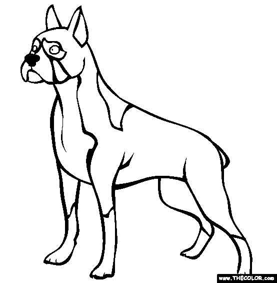 Boxer Coloring Page