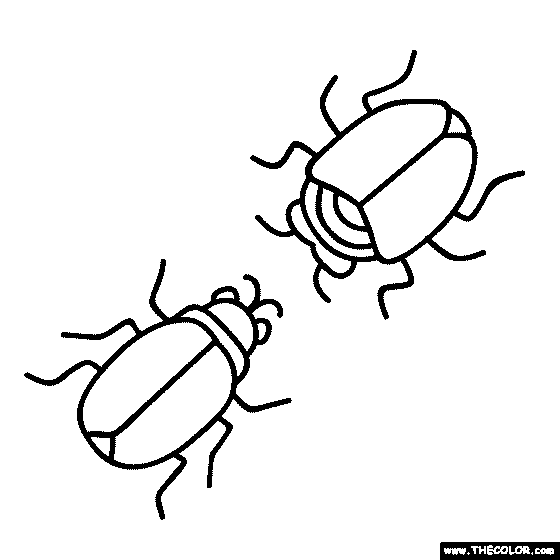 Bugs Coloring Page