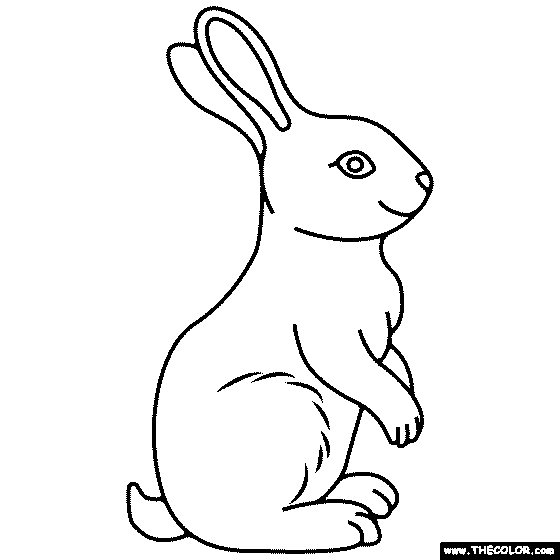 Bunny Coloring Page