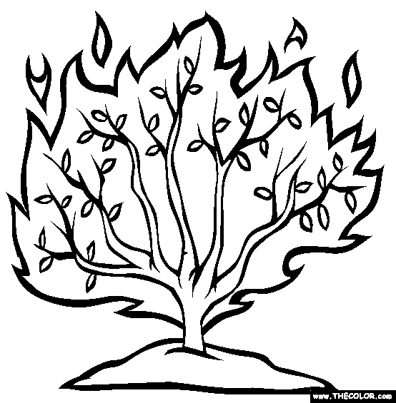 Burning Bush Coloring Page