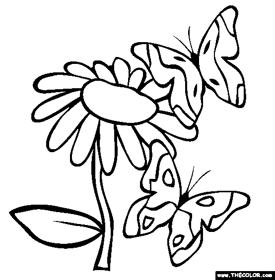 Butterflies Coloring Page