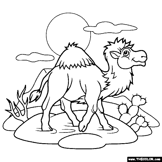 Camel In Desert Coloring Page