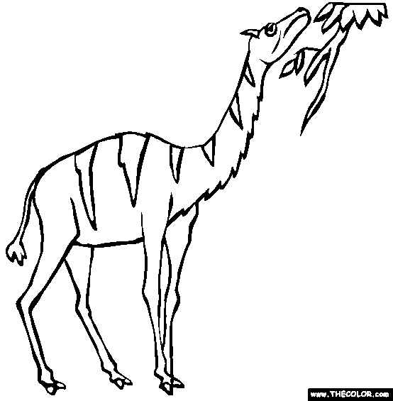 Camelops Coloring Page