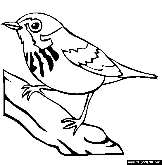 Canada Warbler Coloring Page
