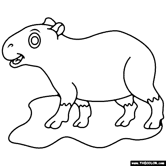 Capybara Coloring Page