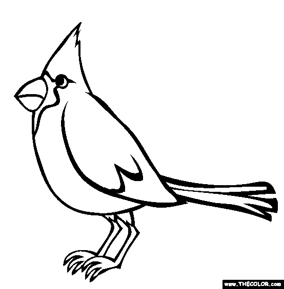 Cardinal Coloring Page