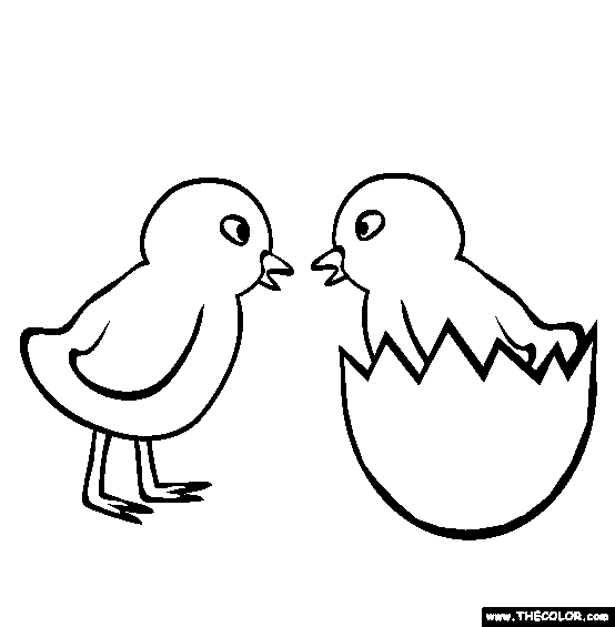 Chicks Coloring Page