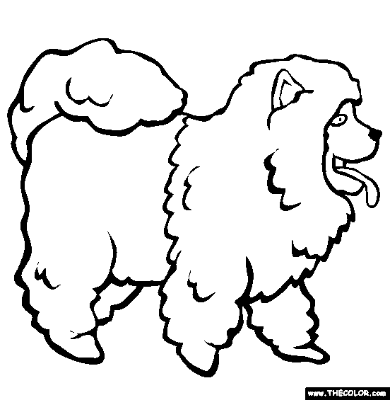 Chow Chow Coloring Page