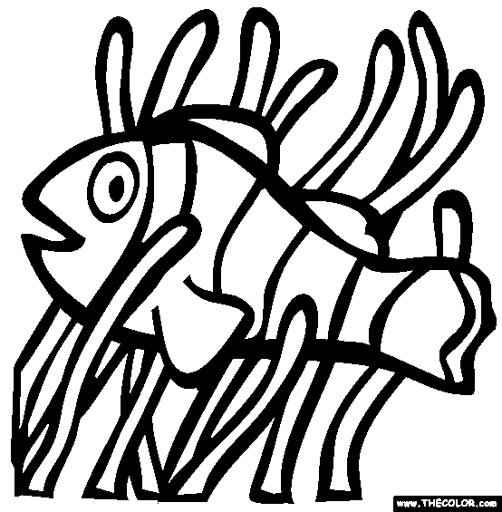 Clown Anemonefish Coloring Page