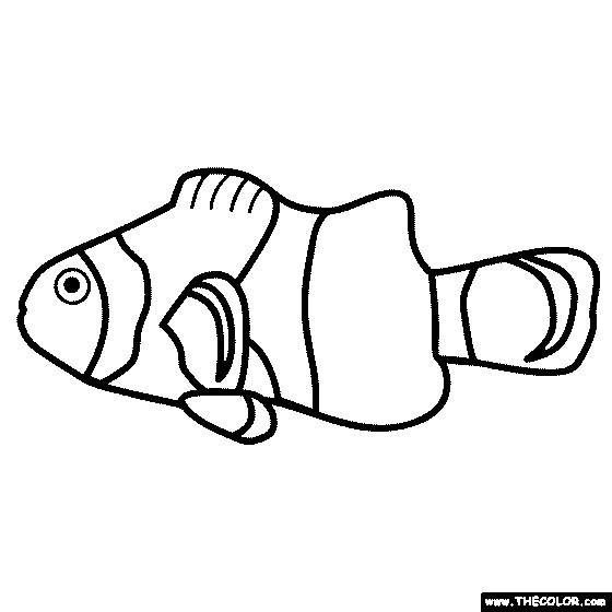 Clownfish Coloring Page