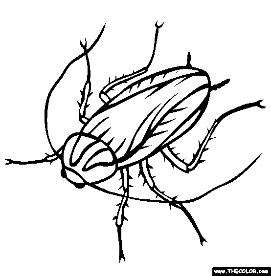 Cockroach Coloring Page