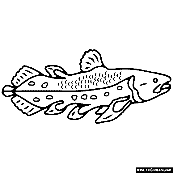 Coelacanth Fish Coloring Page