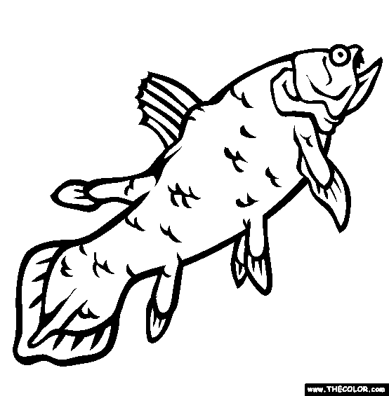 Coelacanth Coloring Page