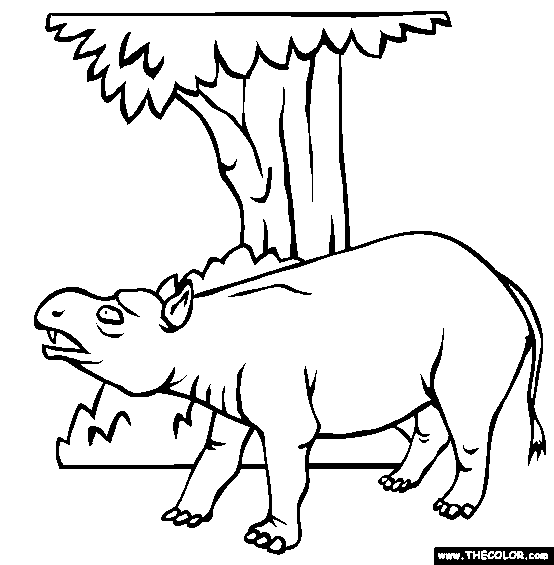 Coryphodon Coloring Page