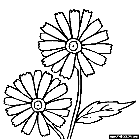 Daisy Flower Online Coloring Page | Color Daisies