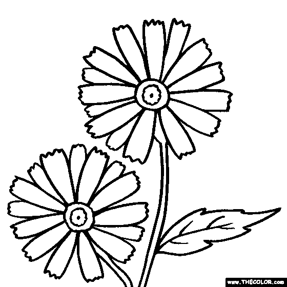 Daisy Flowers, Online