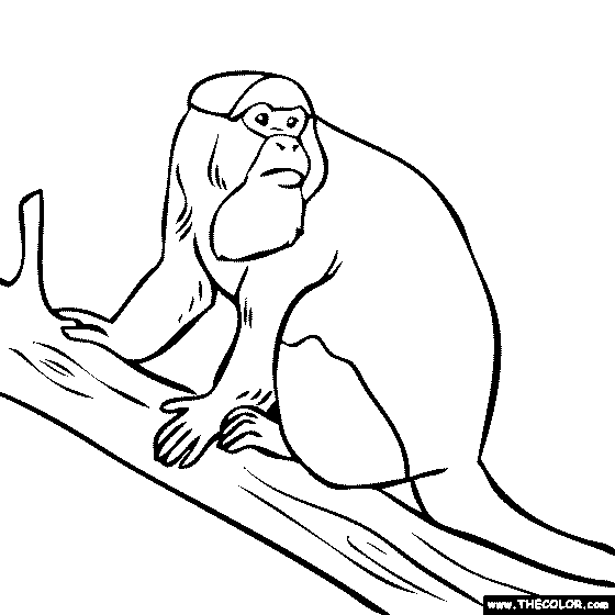 DeBrazzas Monkey Coloring Page