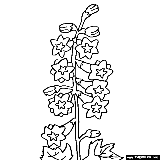 Delphinium Flower Online Coloring Page