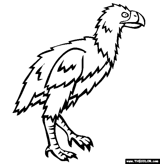 Diatryma Coloring Page